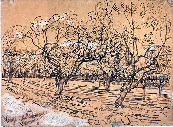 Vincent van Gogh: Provencal Orchard, 1888